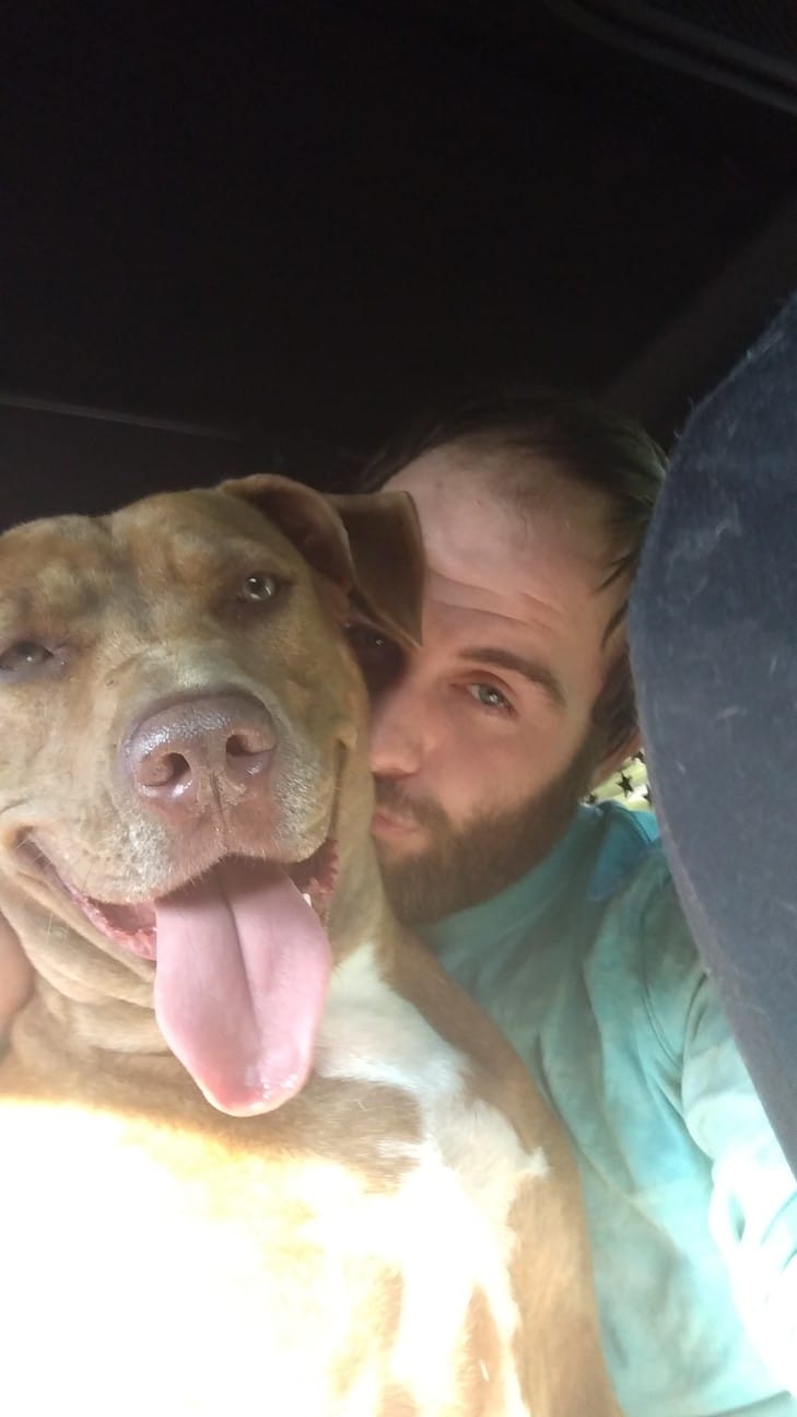 Aaronanddog Aaronanddog