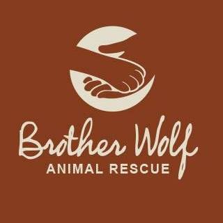 Brotherwolffb Brotherwolffb