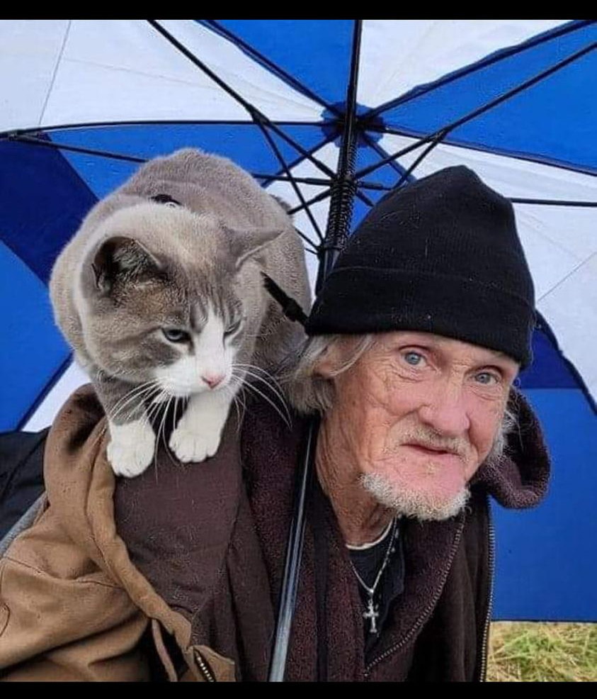 AlexThomascatasheville AlexThomascatasheville