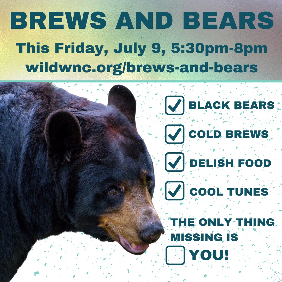 Wncbrewsandbearsfacebook Wncbrewsandbearsfacebook