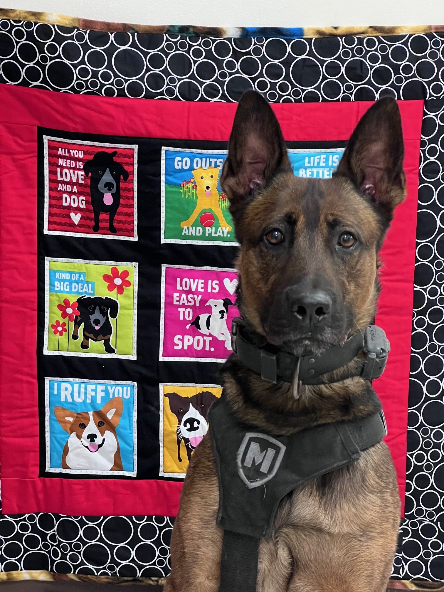 Rutherfordk9kilo Rutherfordk9kilo