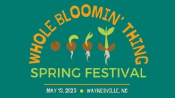 Wholespringfroglevelfb