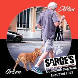 Sarges2023